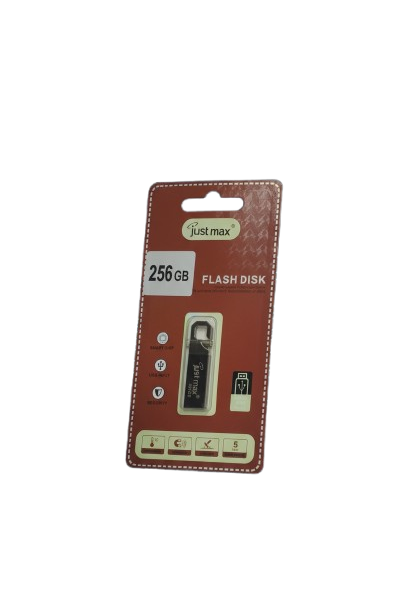 USB FLASH DRIVE 256 GB JUST MAX-JM24